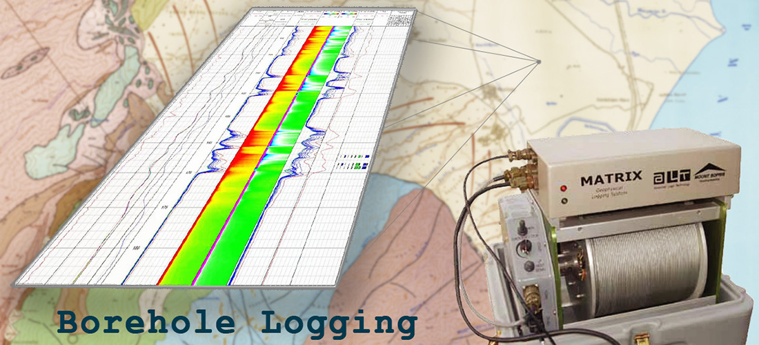 Borehole logging system 